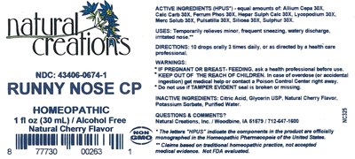 Image Description (Runny Nose Cp)
